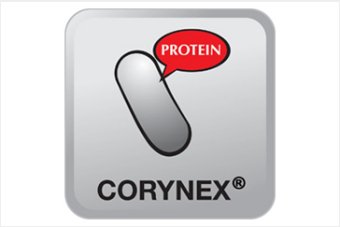 Corynex: An innovative reconbinant protein/peptide prudocution service
