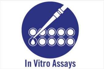 In Vitro Pharmacology